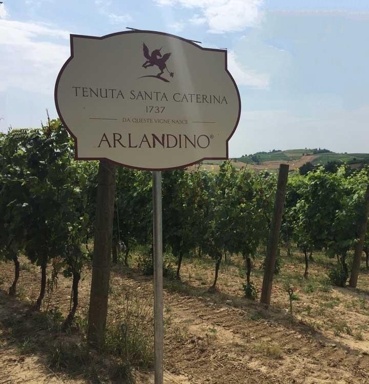 Tenuta Santa Caterina, Winery & Relais - Monferrato Piedmont